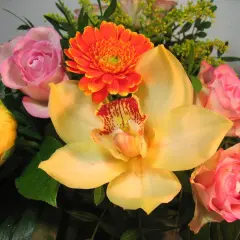 Kwiaty na imieniny Marii: żółta orchidea, różowe róże i pomarańczowa gerbera, ozdobione kroplami rosy.