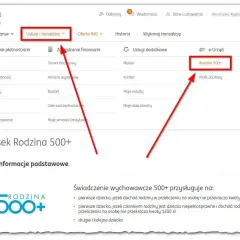 Wniosek Rodzina 500+ w ING. Kliknij "Rodzina 500+" w "Usługi i narzędzia", aby złożyć wniosek.