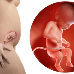W którym tygodniu czuć ruchy dziecka? Oto, co musisz wiedzieć