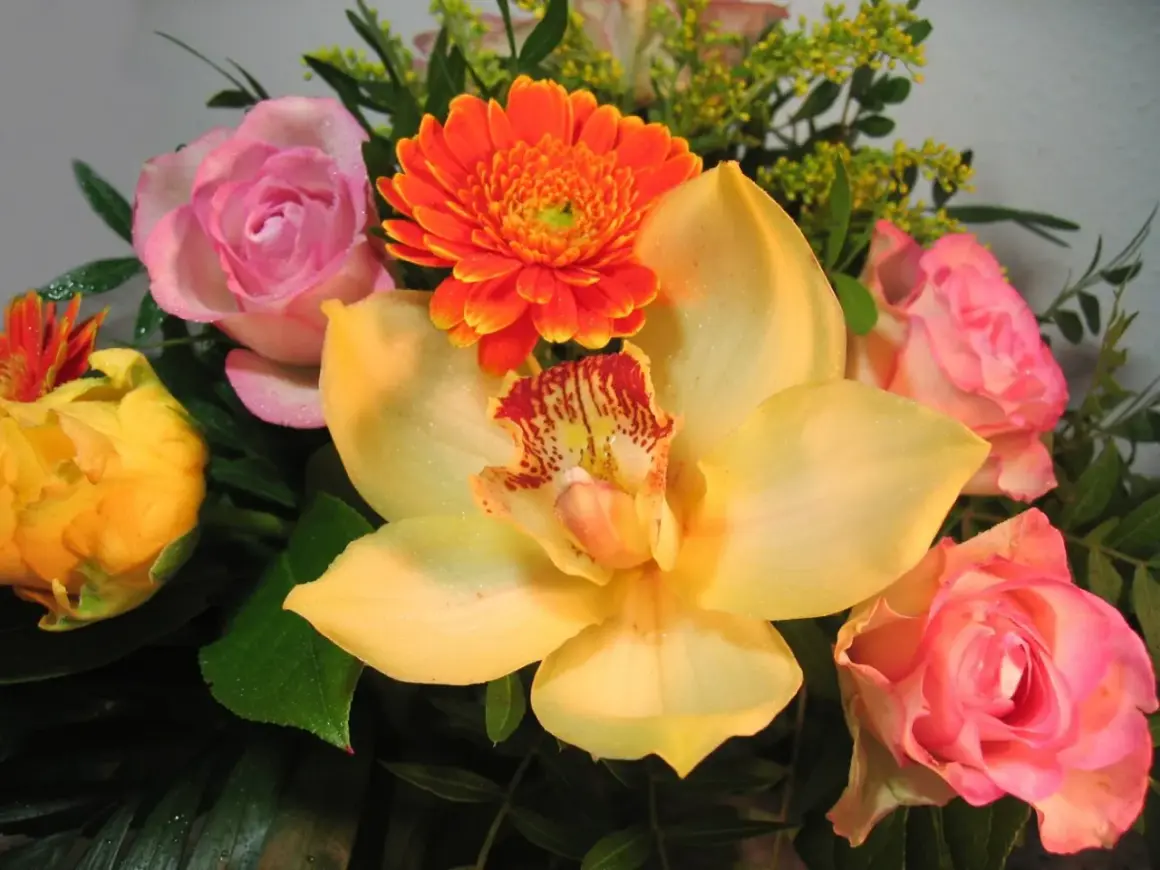Kwiaty na imieniny Marii: żółta orchidea, różowe róże i pomarańczowa gerbera, ozdobione kroplami rosy.