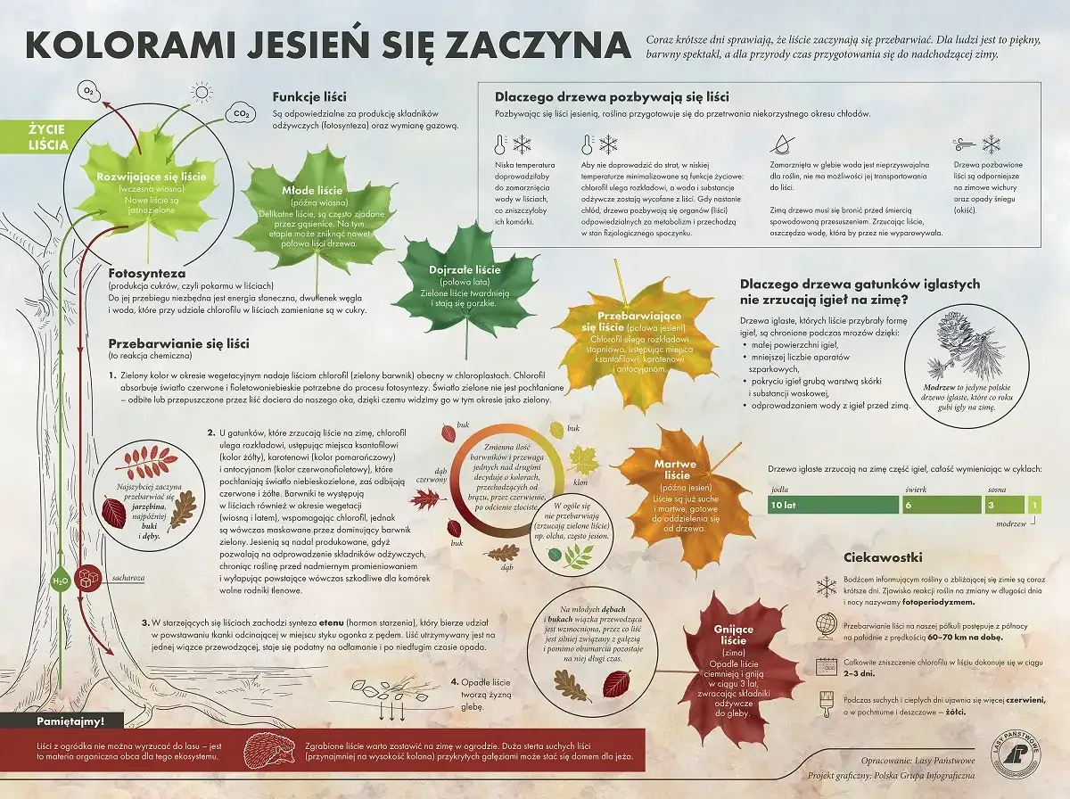 2 października - co naprawdę oznacza ta jesienna data?