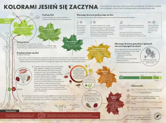 2 października - co naprawdę oznacza ta jesienna data?