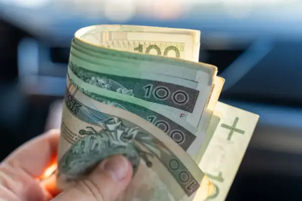 Dłoń trzyma zwitek polskich banknotów 100 zł. Może to być pomoc w utrzymaniu mopsa, zasiłek pielęgnacyjny.