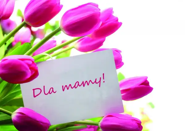 Różowe tulipany z kartką "Dla mamy!". Idealny pomysł, co kupić mamie na urodziny.